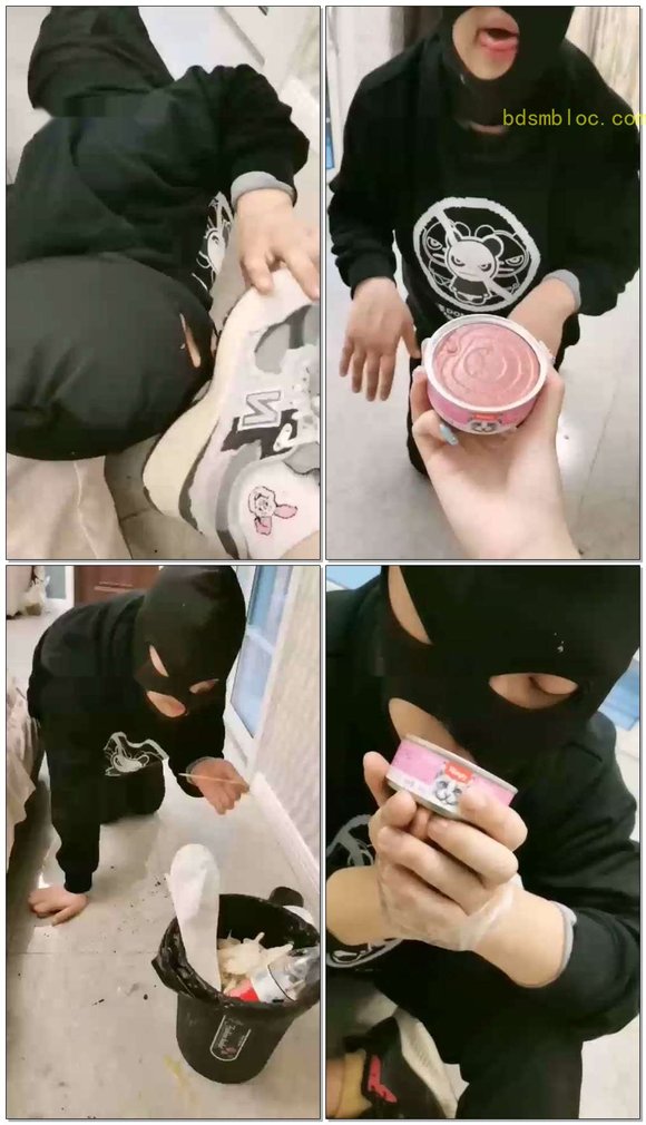 【黛黛s】心情不好，升水喂猫粮，训狗