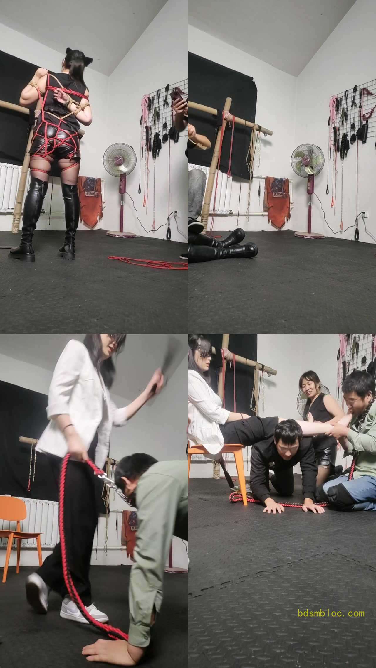 【盛梦空间s】狗哥骚姐同时出场