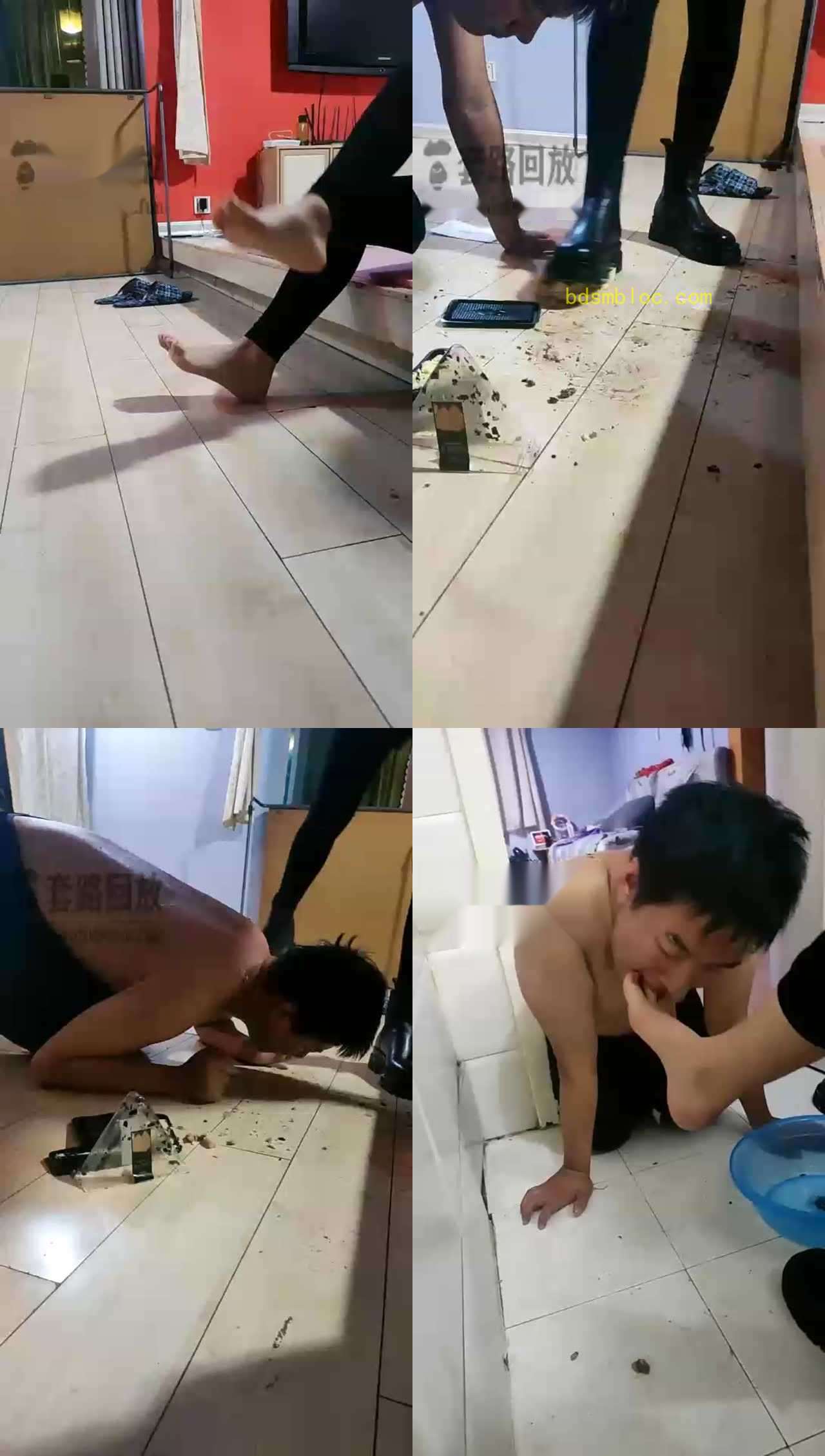【Audrey丶雪儿】圣水口水收集器，喂食