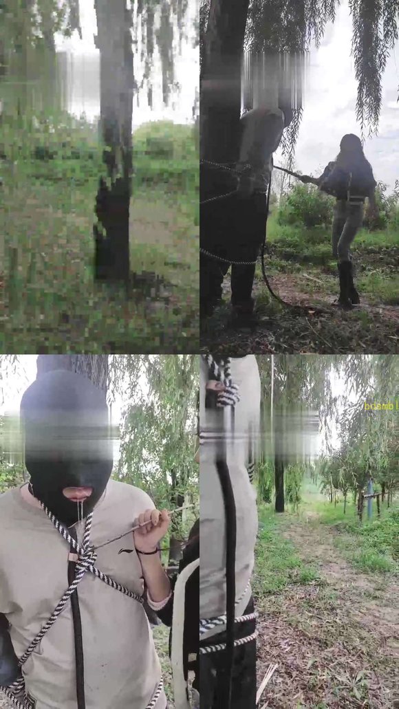 【霁月S&amp;辰辰S】户外捆绑鞭打贱狗（续集）（双视角）