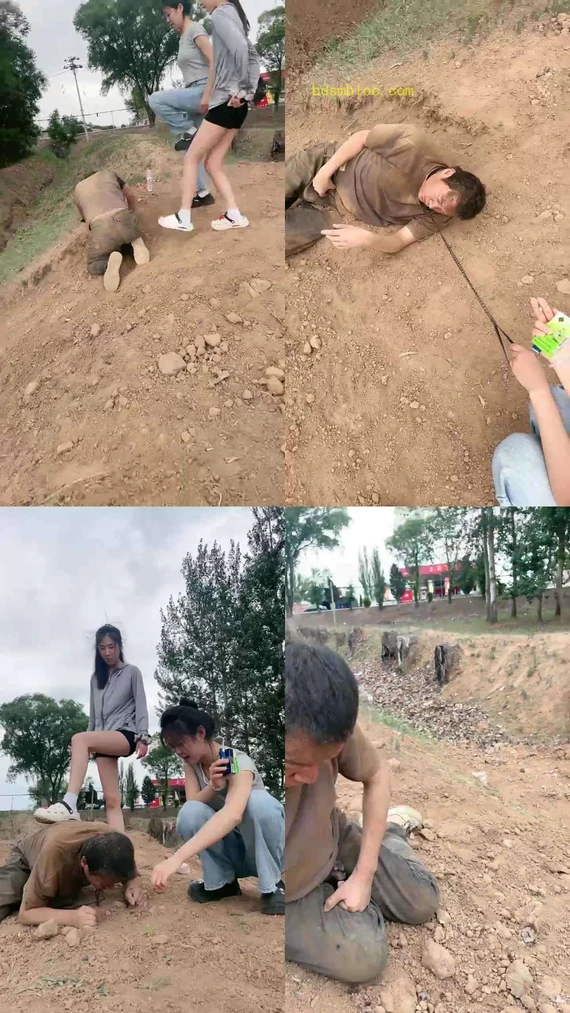 【173s】173s，西彤S，双主调教闷骚狗吃羊粪蛋