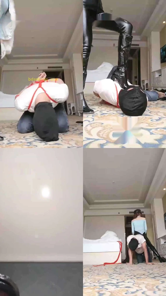 【多多】玩狗