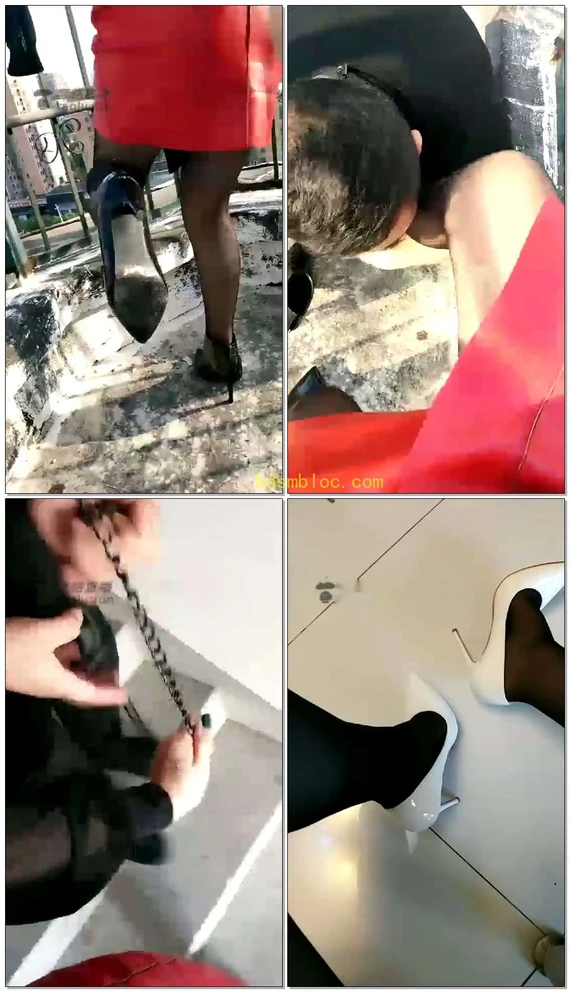 【京S维维】天台玩玩狗子