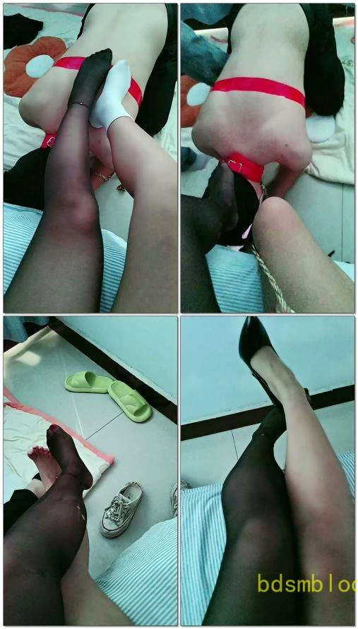【琦琦Ss】开始上课了