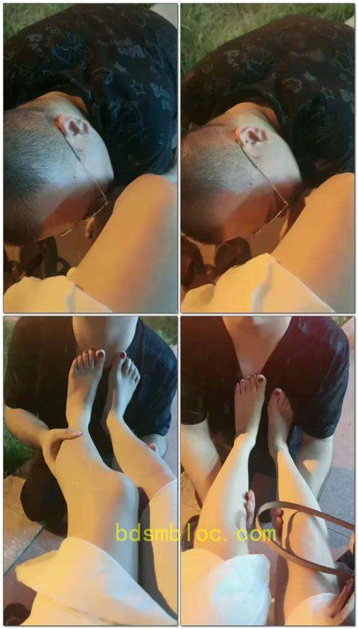 【爱丽丝S】户外玩狗
