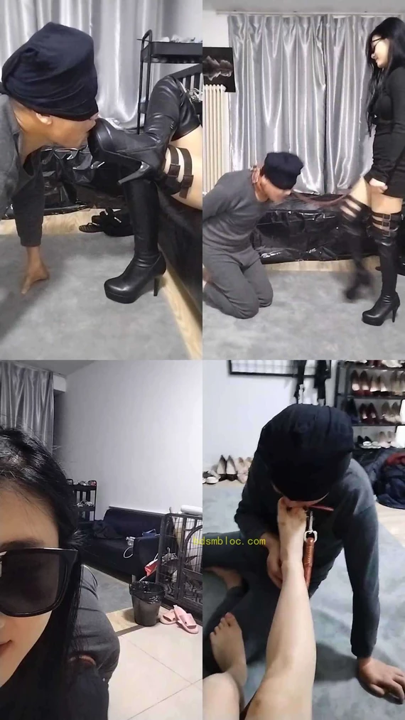 【北京宠儿】狗子听话才有奖励